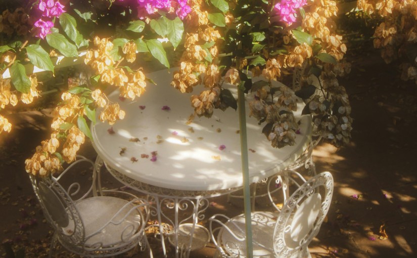 المقال الأول